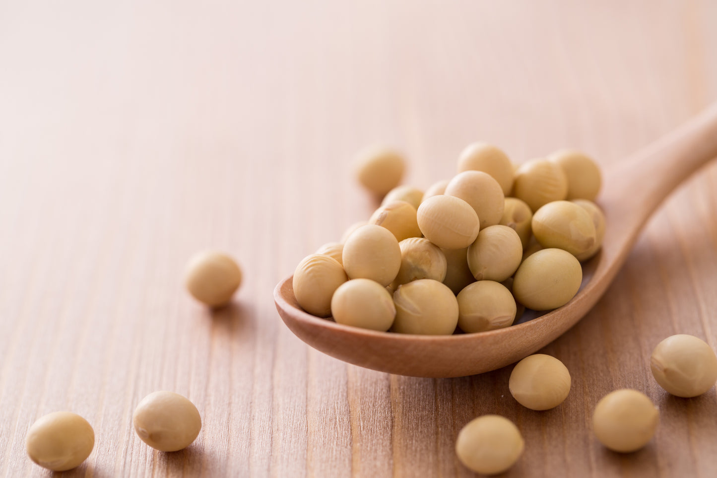 Kannokura Soy Protein(280g)