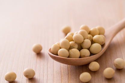 Kannokura Soy Protein(280g)
